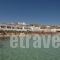 Acrogiali Hotel_travel_packages_in_Cyclades Islands_Mykonos_Platys Gialos
