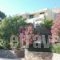 Anthemis Hotel Apartments_best deals_Apartment_Aegean Islands_Samos_Samosst Areas