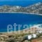 Agios Pavlos Studios_holidays_in_Hotel_Cyclades Islands_Amorgos_Amorgos Chora