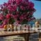 Agios Pavlos Studios_best prices_in_Hotel_Cyclades Islands_Amorgos_Amorgos Chora