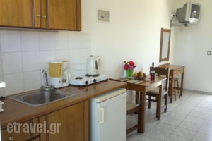 Irene Apartments & Studios_travel_packages_in_Dodekanessos Islands_Kos_Kos Chora