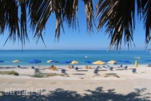 Thomatos Beach Apartments_holidays_in_Apartment_Ionian Islands_Kefalonia_Lourdata