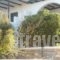 Glyfada View Studios_best prices_in_Hotel_Cyclades Islands_Naxos_Naxos chora