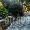 Glyfada View Studios_best deals_Hotel_Cyclades Islands_Naxos_Naxos chora