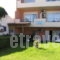 Katerina Seaside Studios_lowest prices_in_Hotel_Crete_Chania_Platanias