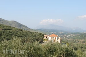 Olive Villas_best deals_Villa_Crete_Chania_Kolympari