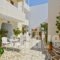 Margo Studios_accommodation_in_Hotel_Cyclades Islands_Naxos_Naxos chora