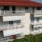 Lazaros Apartments_accommodation_in_Apartment_Macedonia_Pieria_Olympiaki Akti