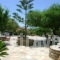 Zanneta Studios_best prices_in_Apartment_Cyclades Islands_Naxos_Mikri Vigla