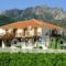 Angela Apartments_best prices_in_Apartment_Aegean Islands_Samos_Kokkari