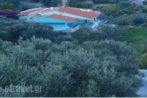 Villa Xenia_accommodation_in_Villa_Aegean Islands_Samos_Samos Chora