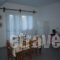 Villa Xenia_lowest prices_in_Villa_Aegean Islands_Samos_Samos Chora