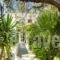 Rania_best deals_Apartment_Cyclades Islands_Mykonos_Mykonos Chora