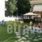 Nikos Theos Resort_accommodation_in_Apartment_Macedonia_Pieria_Dion