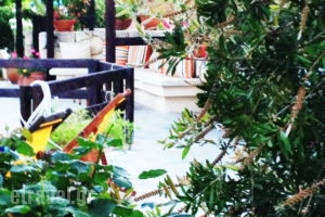 Ammon Garden Hotel_best prices_in_Hotel_Macedonia_Halkidiki_Haniotis - Chaniotis
