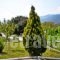 Xenonas Bizani_accommodation_in_Apartment_Epirus_Ioannina_Bizani