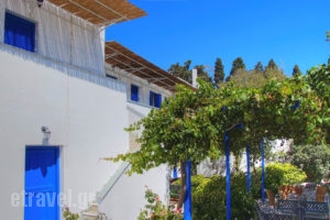 Polytimi Studios_holidays_in_Apartment_Cyclades Islands_Amorgos_Amorgos Chora