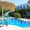 Seashell Apartments_accommodation_in_Apartment_Crete_Chania_Platanias