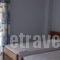 Adonis Apartments_best prices_in_Apartment_Macedonia_Pieria_Paralia Katerinis