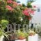 Loukia Apartments & Studios_travel_packages_in_Cyclades Islands_Paros_Paros Chora
