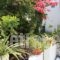 Loukia Apartments & Studios_best deals_Apartment_Cyclades Islands_Paros_Paros Chora