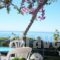 Hotel Hariklia_accommodation_in_Hotel_Crete_Rethymnon_Aghia Galini