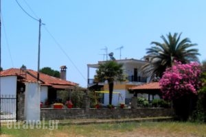 Lampos House_accommodation_in_Apartment_Macedonia_Halkidiki_Chalkidiki Area