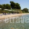 Chromata Beach Apartments_best deals_Apartment_Central Greece_Evia_Rovies
