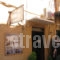 Athinie_accommodation_in_Hotel_Crete_Chania_Chania City