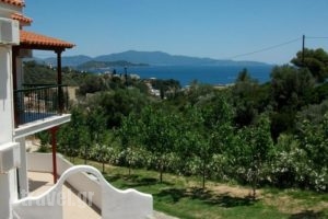 Villa Teozenia_best prices_in_Villa_Thessaly_Magnesia_Milies