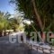 Villa Verde Fenia_best deals_Villa_Ionian Islands_Lefkada_Tsoukalades