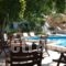 Pension Irene_lowest prices_in_Hotel_Cyclades Islands_Ios_Ios Chora
