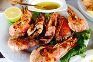 Ta Kalytera_food_in_Restaurant___Xeropotamos