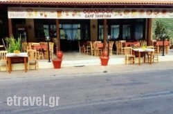 Oinohoos Cafe Taverna hollidays