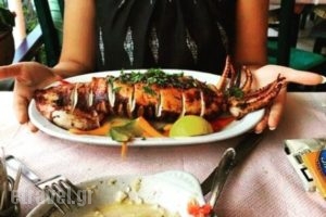 Akti_food_in_Restaurant___Agios Ioannis