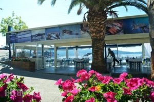 Thessalonikia Fish Tavern_food_in_Restaurant___Neos Marmaras