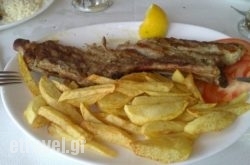 Epikouros Taverna-Restaurant hollidays