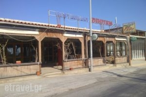 Dimitris Taverna Kamari_food_in_Restaurant___