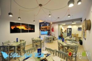 Drimoni_food_in_Restaurant___Apollonia