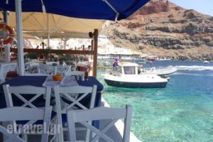 Red Shark Tavern_food_in_Restaurant___