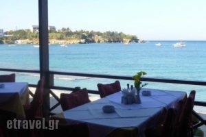 Restaurant El Greco_food_in_Restaurant___Agia Pelagia