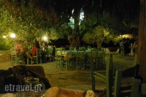 Eleonas_food_in_Restaurant___Alonnisos