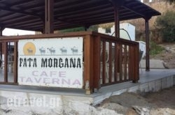 Fata Morgana - Paradisos, Tavern & Cafe hollidays