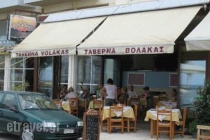 Volakas Fishtavern_food_in_Restaurant___Chania