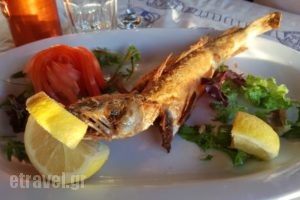 Paradisos Greek Cuisine_food_in_Restaurant___Paradisos