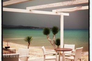 Fuego Beach Bar Restaurant_food_in_Caf? and Bar___Acharavi