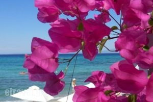 Agora Beach - Greek Kouzina - Beach Bar_food_in_Restaurant___Kassandra