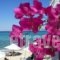 Agora Beach - Greek Kouzina - Beach Bar  