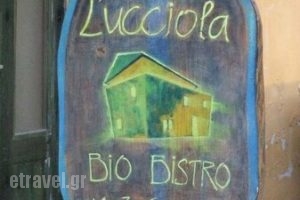 Lucciola Garden_food_in_Restaurant___Kerkira