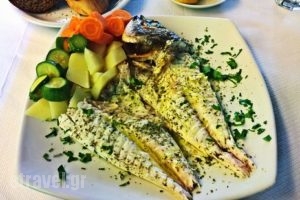 Mastra_food_in_Restaurant___Athina